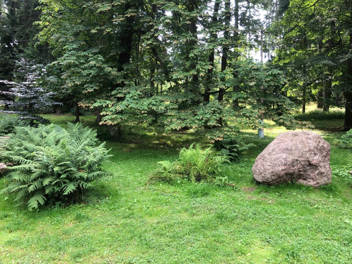 Sloneczne Apartamenty Sokolowsko Buitenkant foto